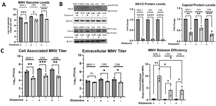 Figure 4: