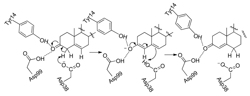 Scheme 1