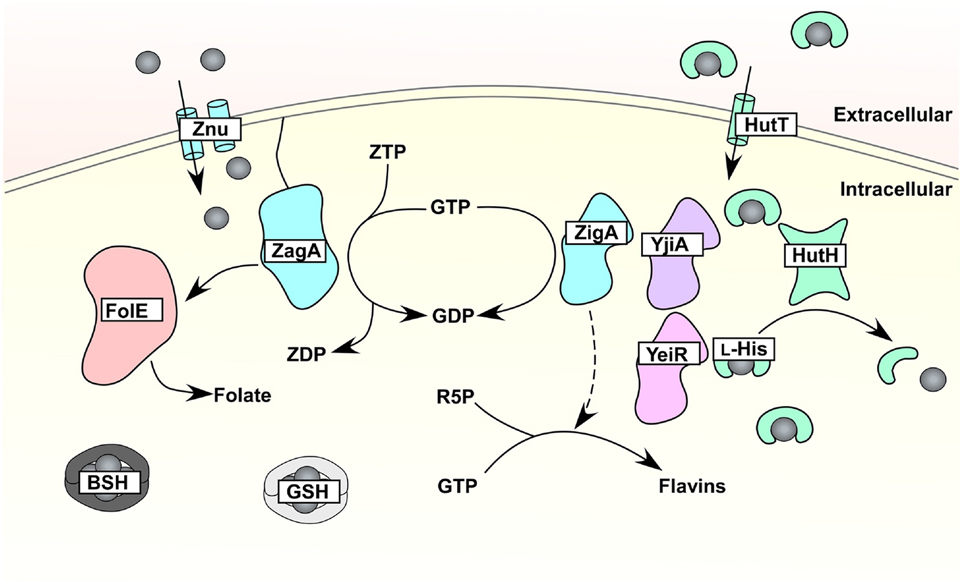 Figure 5.