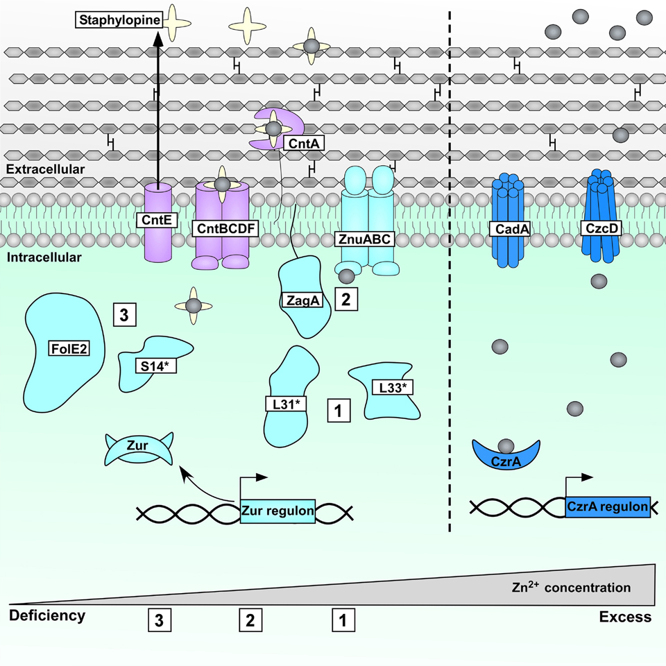 Figure 3.