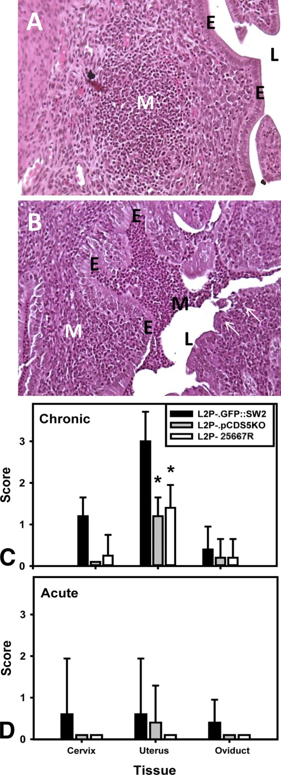 FIG 4