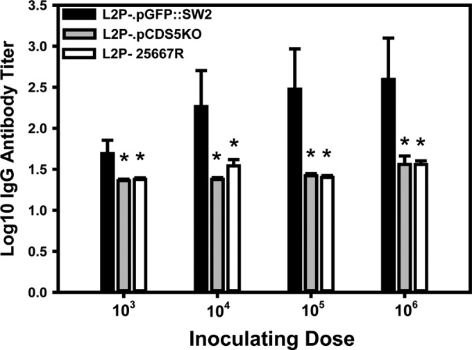 FIG 2