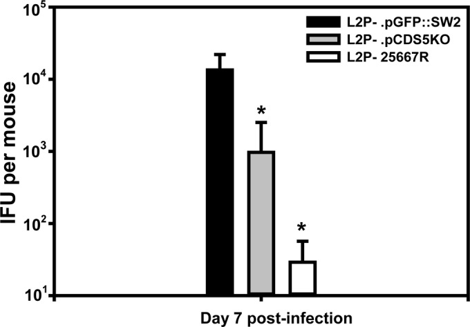 FIG 3