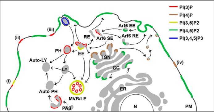 FIGURE 2.