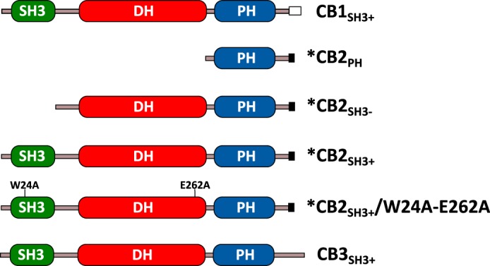 FIGURE 1.