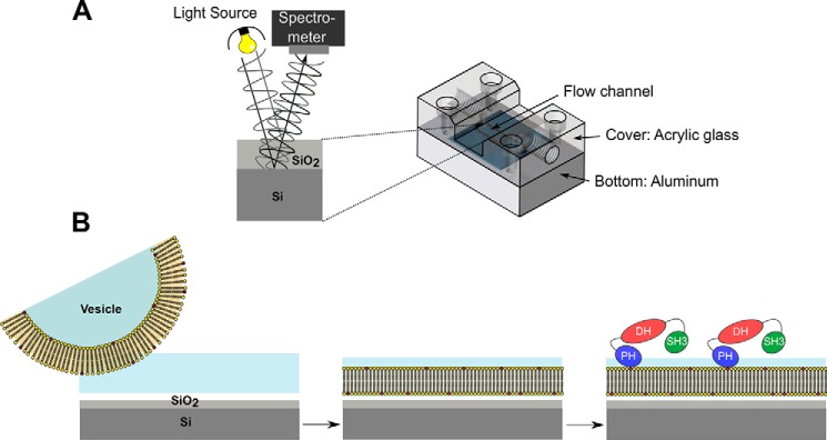 FIGURE 3.