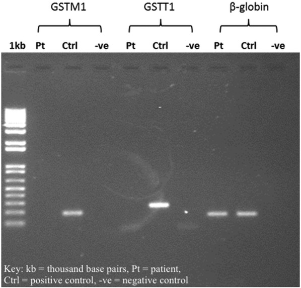 Figure 1