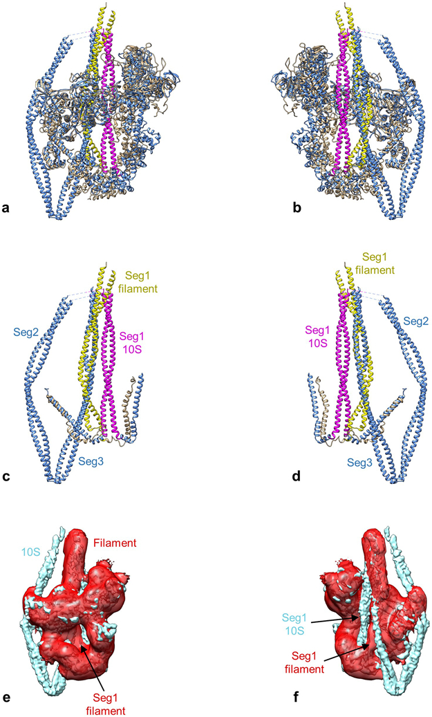 Extended Data Fig. 6.