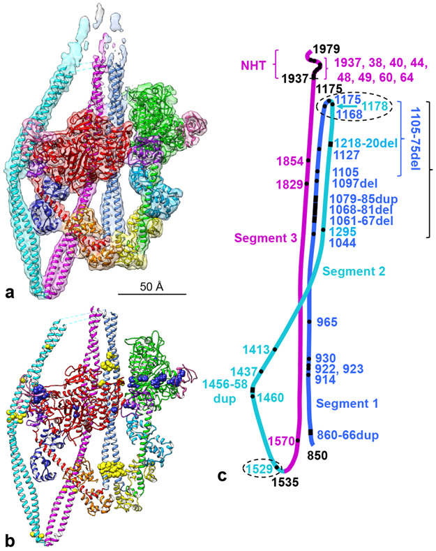 Fig. 2.