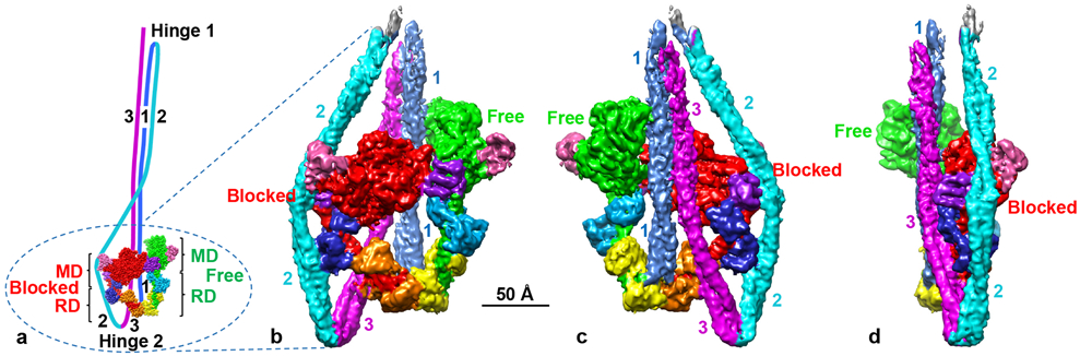 Fig. 1.