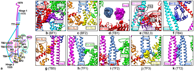 Fig 3.