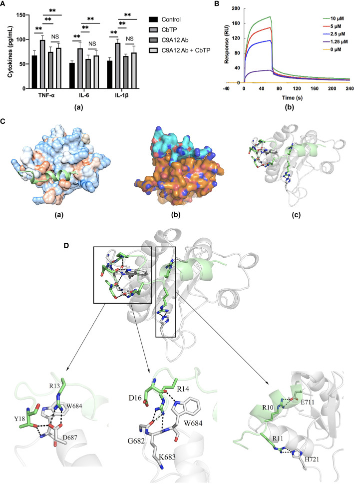 Figure 9