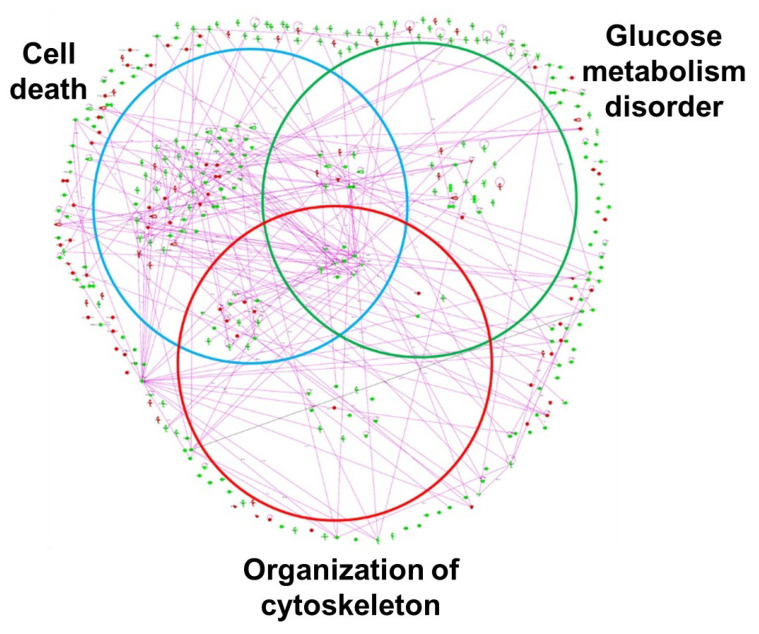 Figure 12