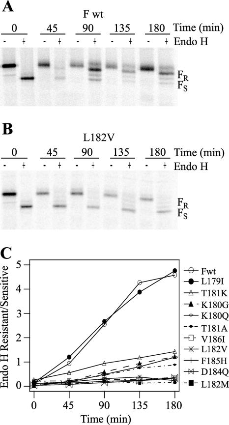 FIG. 4.