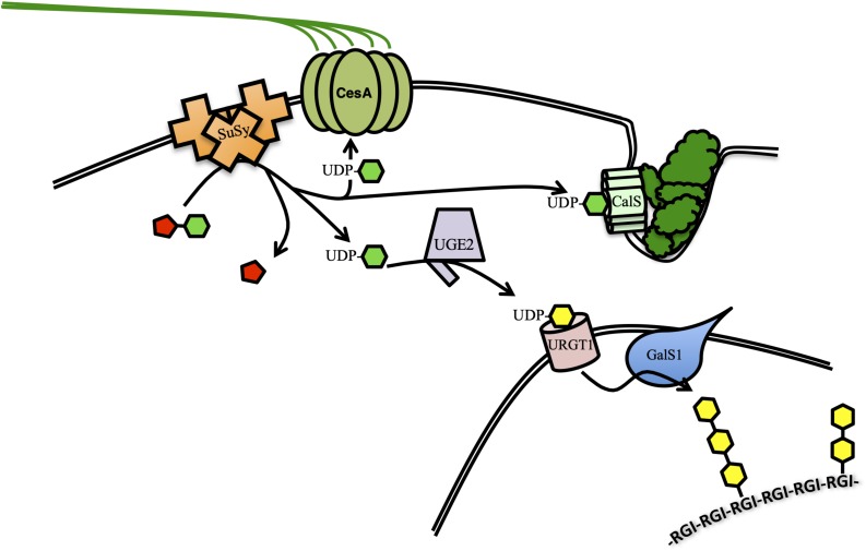 FIGURE 1