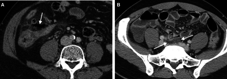 Fig. 9