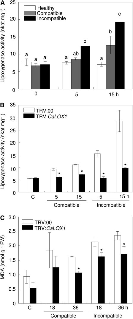 Figure 6.