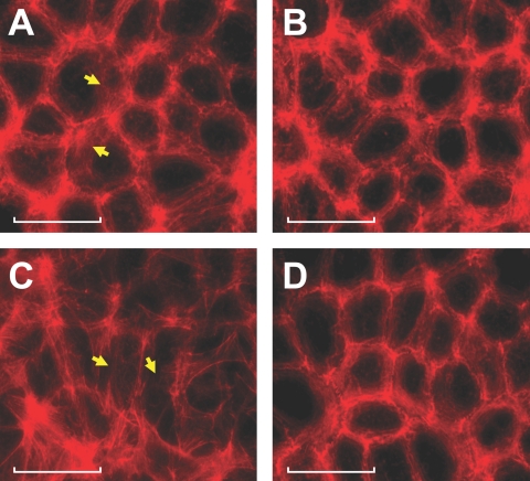 Figure 9.