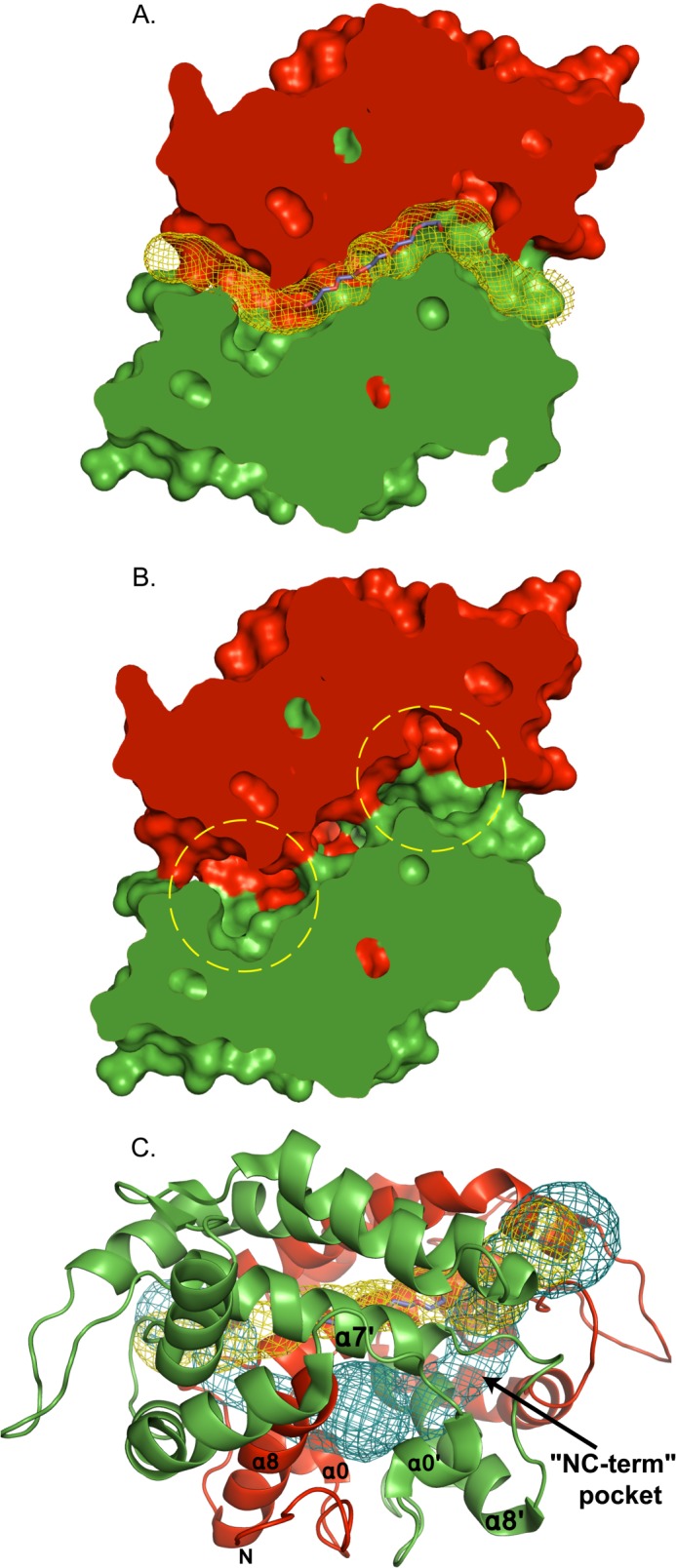 FIGURE 3.