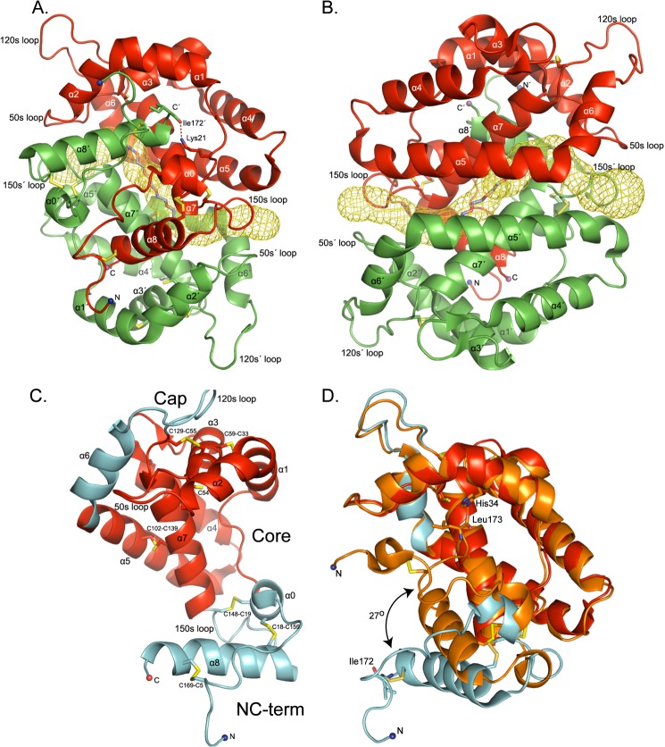 FIGURE 1.