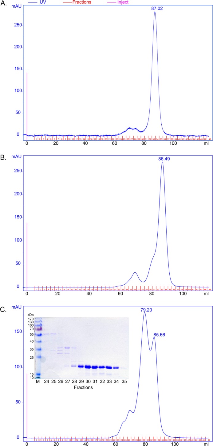 FIGURE 5.