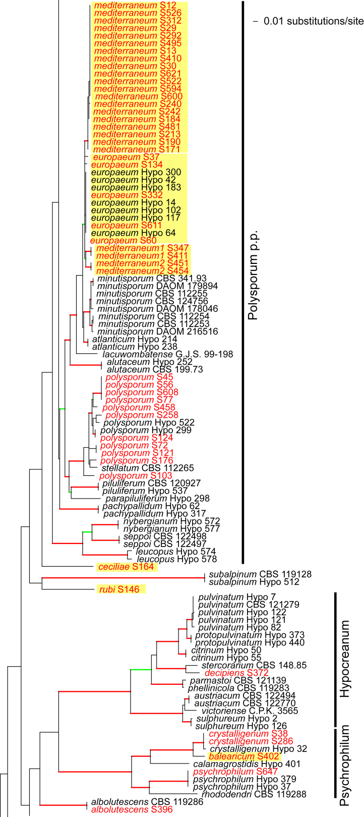 Fig. 2