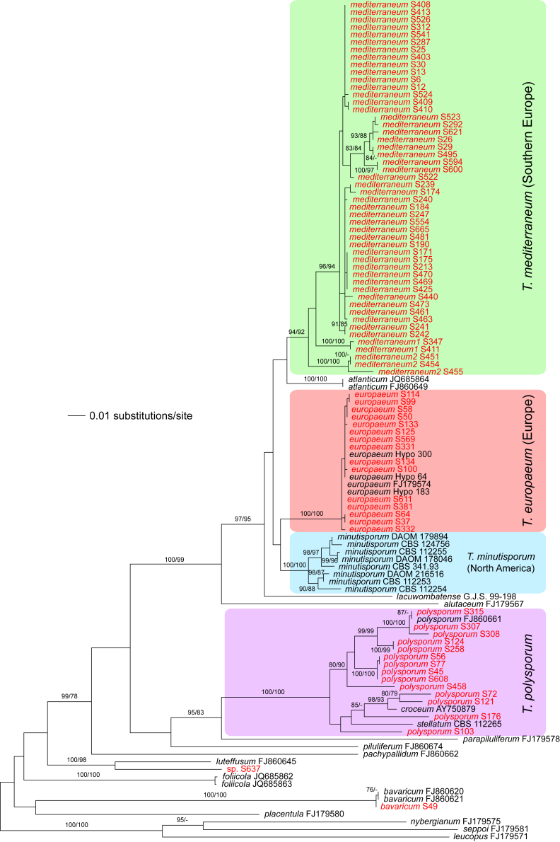 Fig. 4