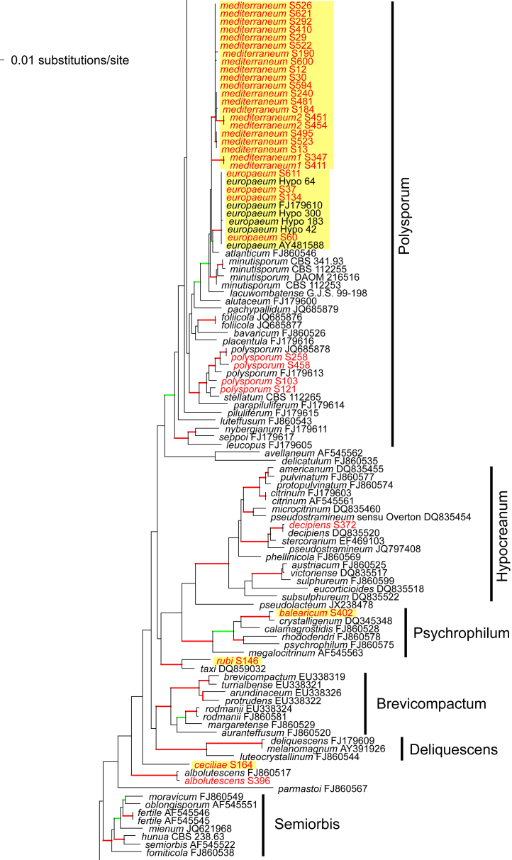 Fig. 1