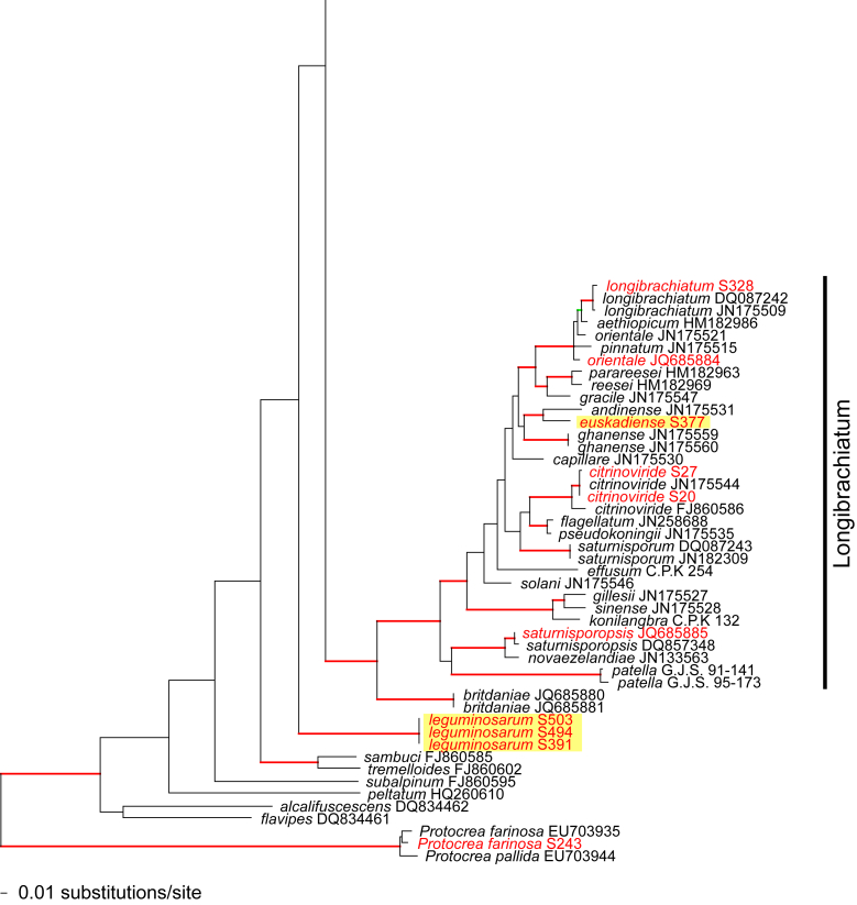 Fig. 1