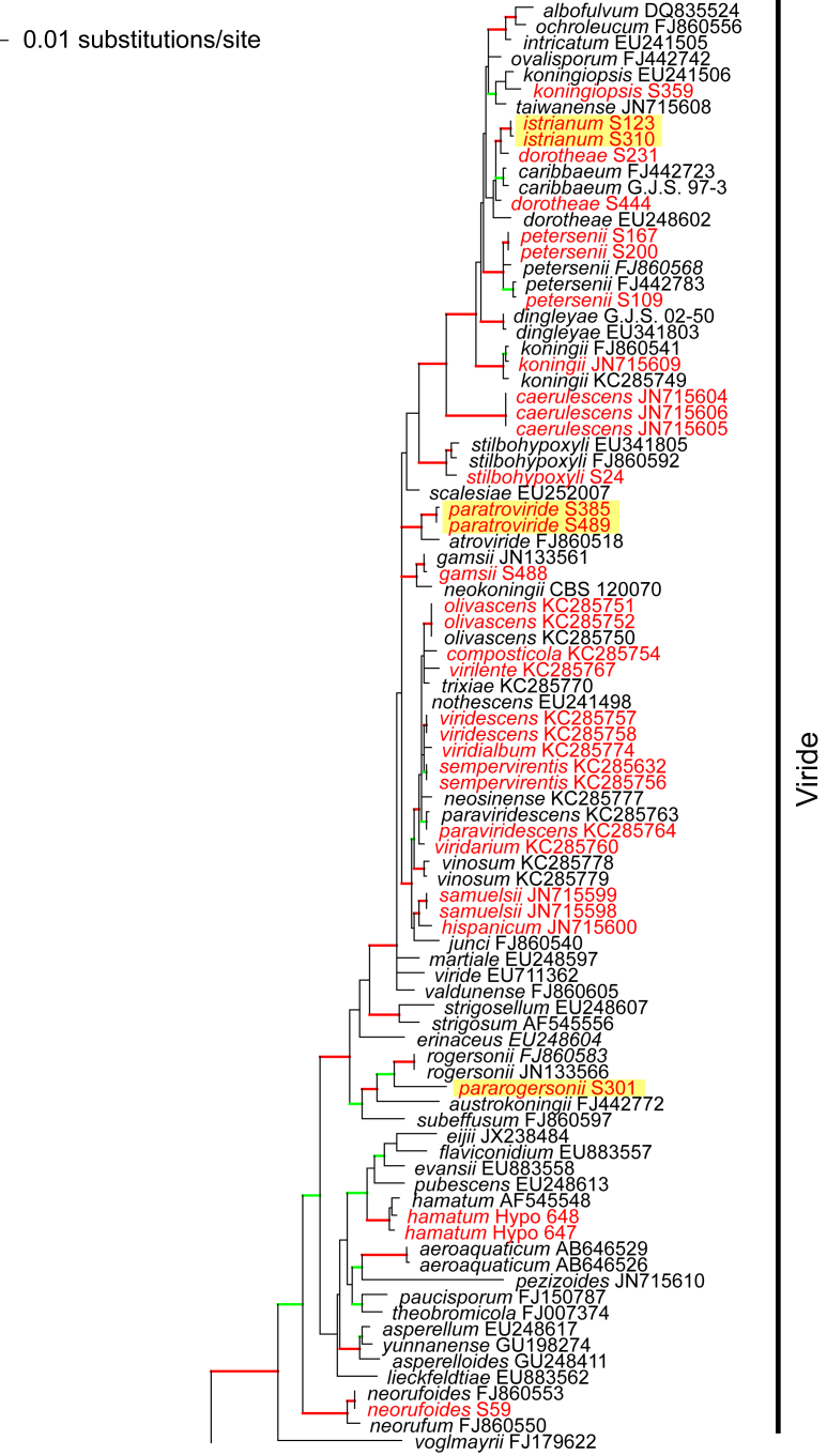 Fig. 1