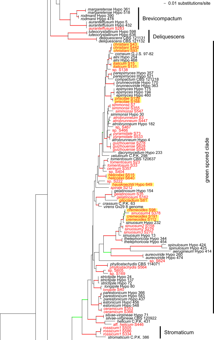 Fig. 2