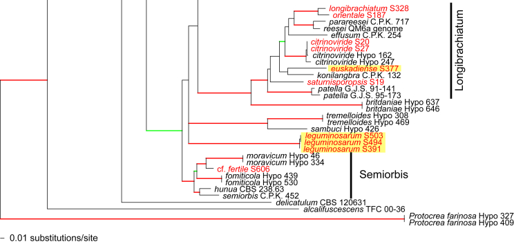 Fig. 2