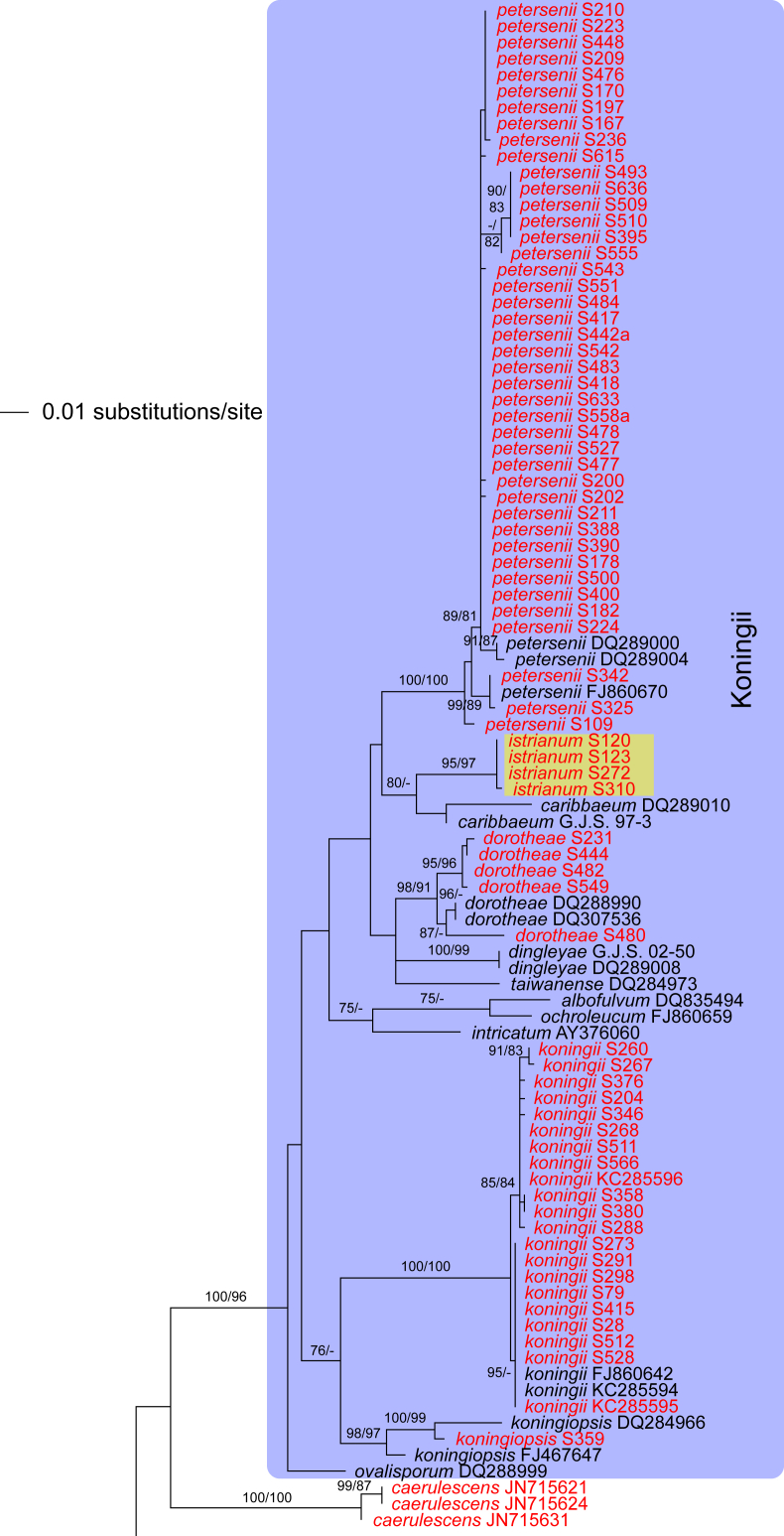 Fig. 3