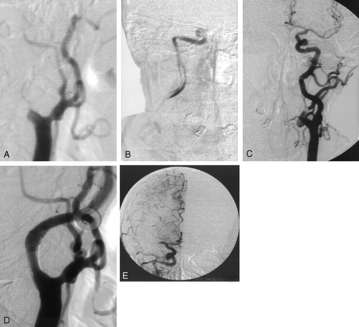 Fig 1.