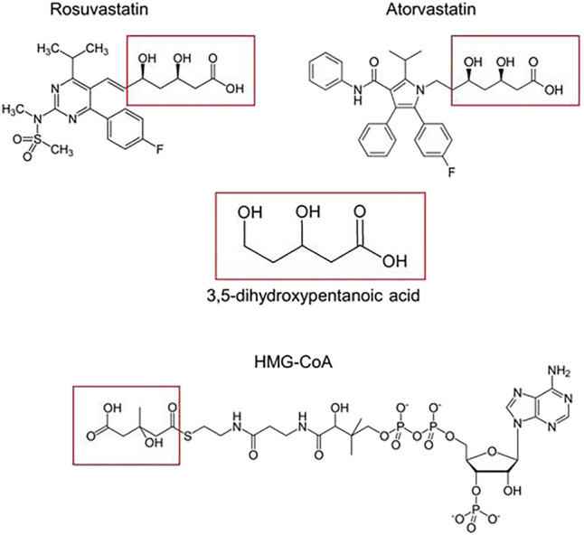 FIGURE 11