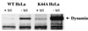 FIG. 9