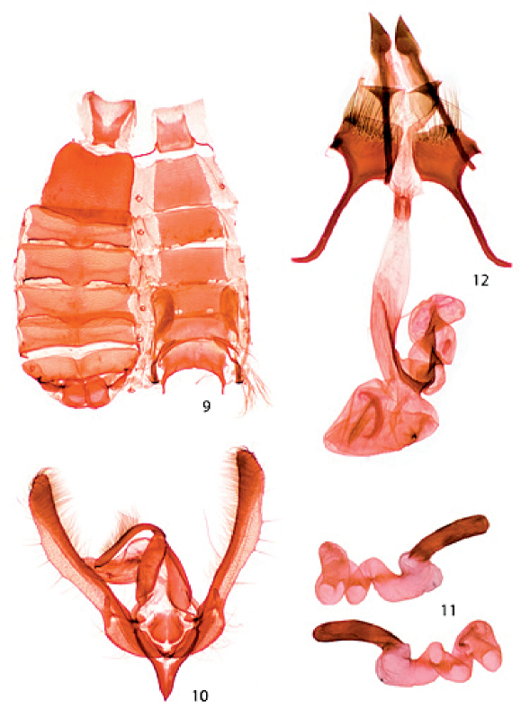 Figures 9–12.