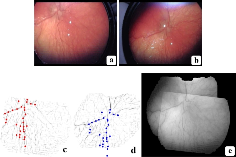 Fig. 9