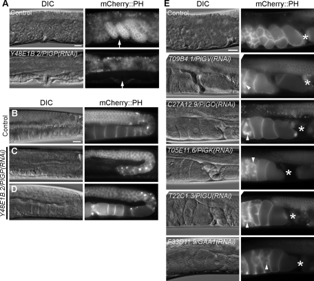 FIGURE 3: