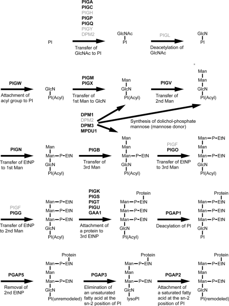 FIGURE 2: