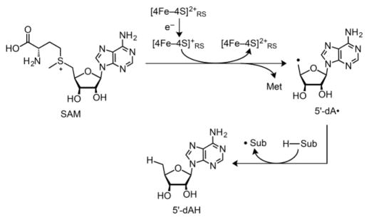 Scheme 3