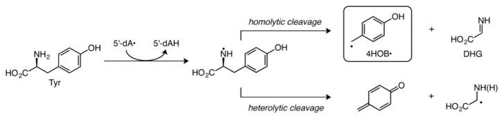 Scheme 4