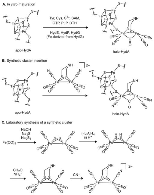 Scheme 2