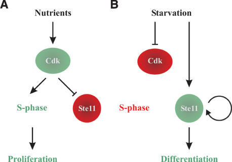 Figure 7.