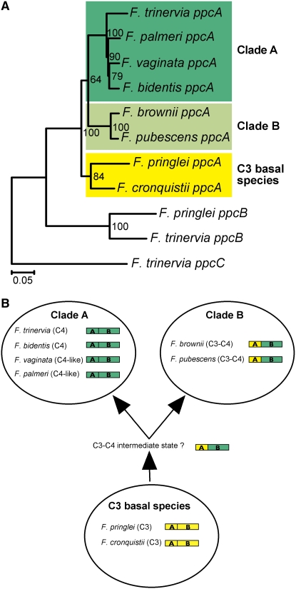 Figure 6.