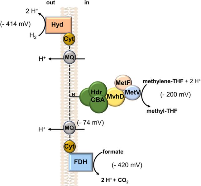 Fig. 3