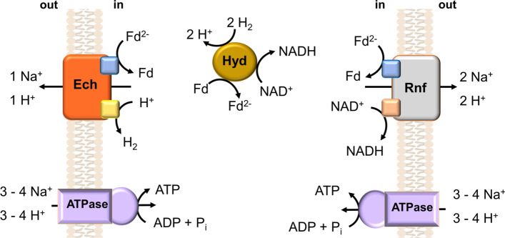 Fig. 2