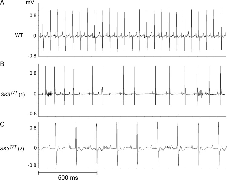 Figure 3