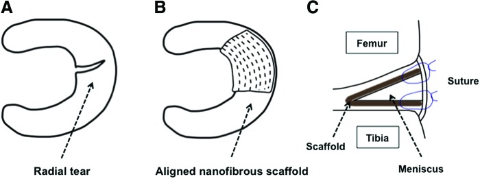 FIG. 8.