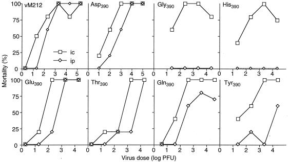 FIG. 5